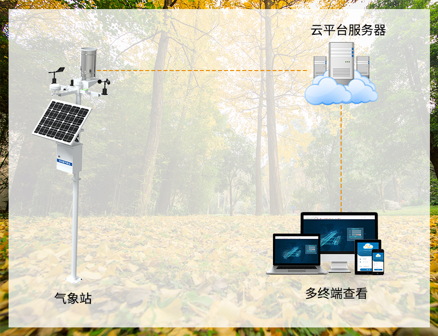 森林2.jpg