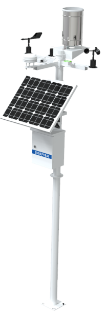 森林3.png