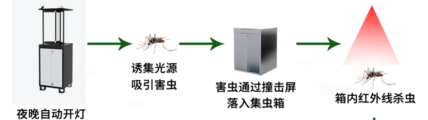 虫情测报仪（R1款）系统框架图