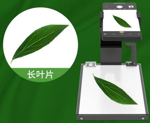 叶面面积分析仪系统框架图